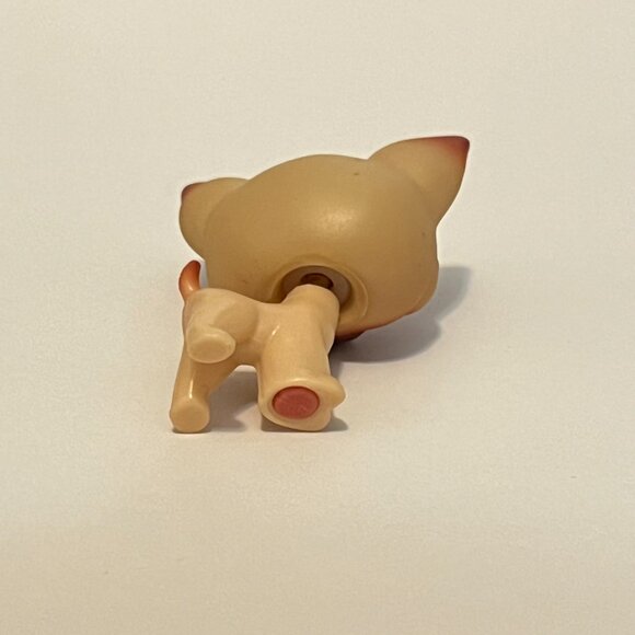 Lot of 5 Littlest Pet Shop with accessories | LPS #1, 2, 3, 4, 15 - Picture 4 of 16